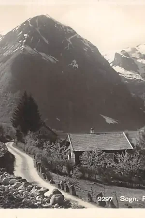 Tani Noorwegen Sogn. Fra Balholm mot Esefjord Fotokaart 1928 Norge Norway Europa HC31384