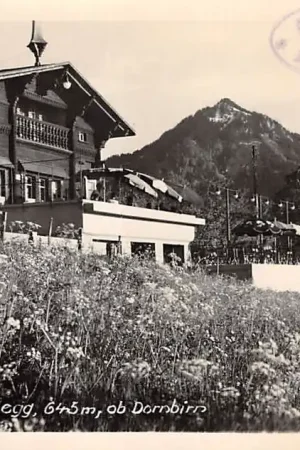 Oostenrijk Dornbirn Café Watzenegg 645 m ob Dornbin Fotokaart Österreich Austria Europa HC31188 Bezpieczna płatność