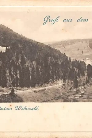 Duitsland Todtmoos und Sanatorium Wehrwald Gruss aus dem Schwarzwald Waldshut Deutschland Europa HC30877 Wysoka jakość