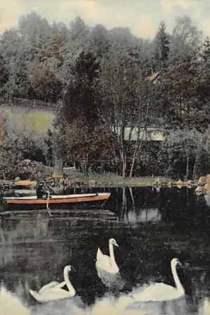 Duitsland Wilbad Schwanensee Calw Deutschland Europa HC30876 Premium