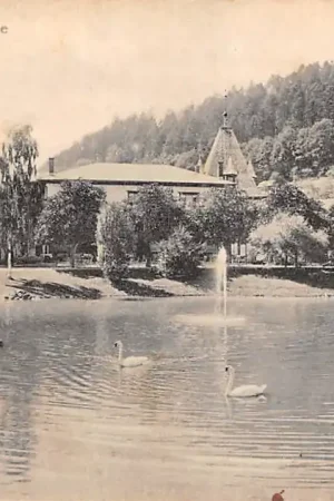 Tylko dziś Duitsland Herrenalb Schwanensee Calw Deutschland Europa HC30875