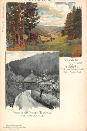 Duitsland Todtmoos im Wehrathal Blick nach Todtmoos Partie nach Hinter Todtmoos und Wasserfall Deutschland EuropaHC30868 Tani