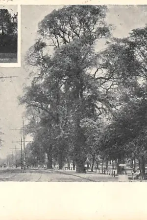 Engeland Southampton The Avenue 1901 England Europa HC30326 Autentyczny