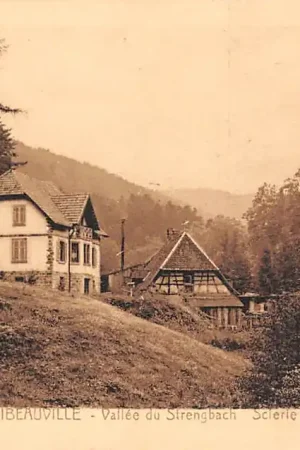 Promocja Frankrijk Ribeauville Vallee du Strengbach Scierie HAAS Colmar France Europa HC27829