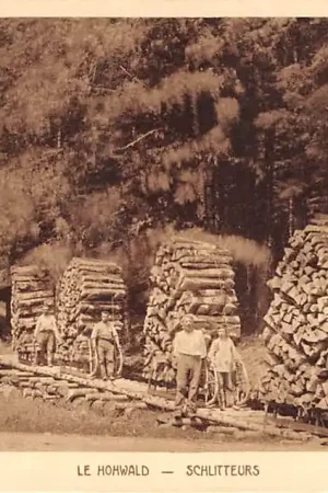 Frankrijk Howald Schlitteurs France Europa HC27809 Zamów teraz