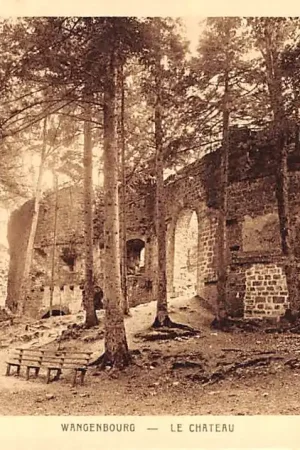 Frankrijk Wangenbourg Le Chateau France Europa HC27746 Zwrot pieniędzy