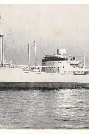 Zweden M\\/S Tunaholm Swedish America Mexico Line Gothenburg Sverige Sweden Europa HC27178 Premium