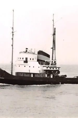 Ekspresowa dostawa België Antwerpen Sleepboot m.s. Caldis Unie van Redding en Sleepdienst Union de Renorque & de Sauvage 1961 Schepen Scheepvaart Europa HC27149
