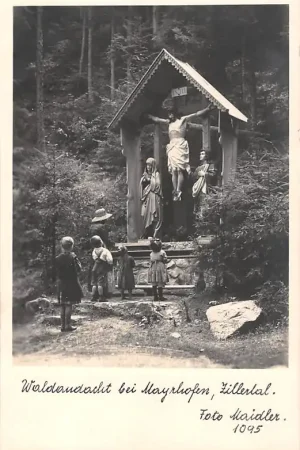 Oostenrijk Mayrhofen Zillertal Schwaz Waldansicht Fotokaart Österreich Austria Europa HC26967 Kup teraz