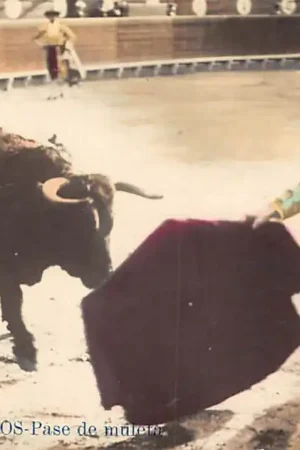 Zwrot pieniędzy Spanje Valencia Corrida de Toros Pase de muleta Fotokaart Espa\\u00f1a Sp;ain Europa HC26871