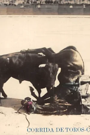 Bezpieczna płatność Spanje Valencia Corrida de Toros Caida en descubierto Fotokaart Espa\\u00f1a Spain Europa HC26870