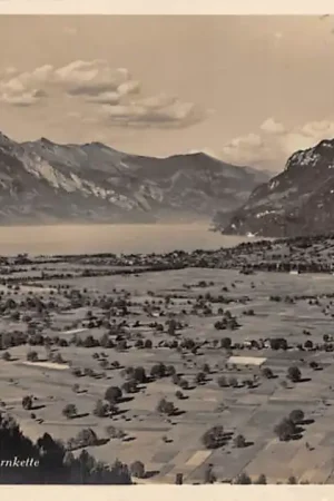Autentyczny Zwitserland Wilderswil Blick auf Brienzersee und Rothornkette 1929 Schweiz Suisse Switzerland Europa HC25798