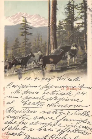 Italië In Montagna 1905 Italia Europa HC25720 Bezpieczna płatność