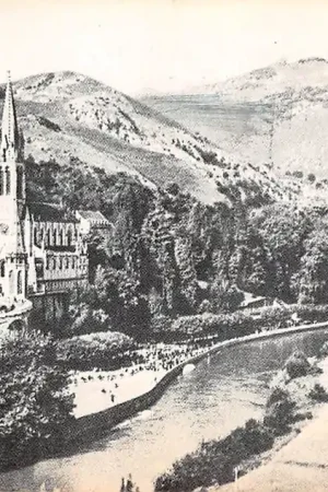 Frankrijk Lourdes Le Basilique et le Gave France Europa HC25086 Popularny