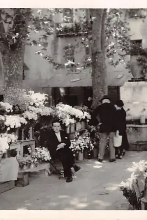 Zamów teraz Frankrijk Menton Le Marche aux fleurs 1939 France Europa HC24786