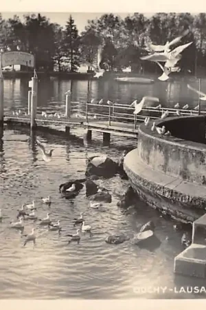 Rabat Zwitserland Ouchy Lausanne Le quai Schweiz Suisse Switzerland Europa HC24423