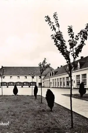 België St. Pieters Lille Jongens school Europa HC23322 Tani