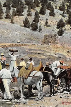 Spanje Tenerife Canarische Eilanden Watering Place Espana Spain Europa HC21641 Oferta limitowana