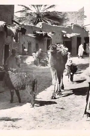 Kup teraz Algerije Alger Une rue du Village arabe Scenes et Types France Frankrijk Afrika HC21248