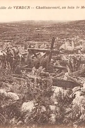 Ostatnia szansa Frankrijk WO1 1914-1918 Bataille de Verdun Chattencourt au loin le Mort-Homme France Europa HC21164
