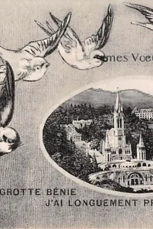 Frankrijk De Lourdes mes Voeux, mes Souhaits a la Grotte Benie j'ai longuement prie pour vous France Europa HC21035 Ekspresowa dostawa