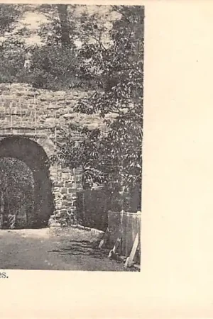 België Petersheim Les Ruïnes 1901 Europa HC20643 Oferta