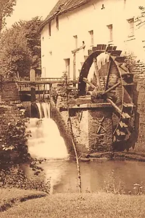 Tani België Grimbergen Tommenmolen Molen watermolen Europa HC20542