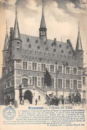België Geraardsbergen Grammont l'Hotel de Ville Stadhuis 1920 Europa HC20527 Niska cena