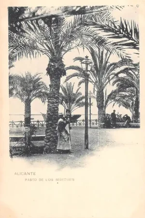 Zwrot pieniędzy Spanje Alicante Paseo de Los Martires Espana Spain Europa HC18862