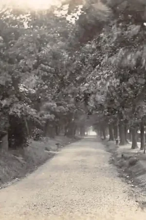 Engeland East Dulwich Cox's Walk 1936 England Great Britain Europa HC17701 Oryginalny