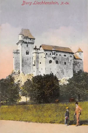 Zwitserland Burg Liechtenstein N.-Oe. 1920 Schweiz Suisse Switzerland Europa HC17523 Niska cena