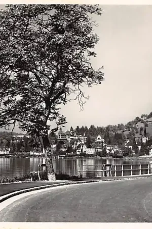 Zwitserland Weggis Luzern Schweiz Suisse Switzerland Europa HC17496 Zamów teraz