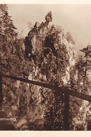 Ekspresowa dostawa Zwitserland Burgenstock Felsenweg 1924 Schweiz Switzerland Suisse Europa HC16642