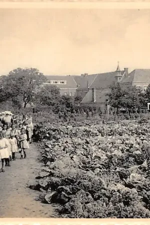Oryginalny Belgie Ravels O.L. Vrouw van de Kempen Open-lucht-school voor zwakke meisjes Al wandelend door de moestuin Europa HC15663