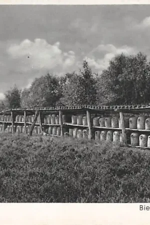 Duitsland Schneverdingen Lunebeurger Heide Bienenstand auf weiter Heide Imker Bijen Deutschland Europa HC11799 Ekspresowa dostawa