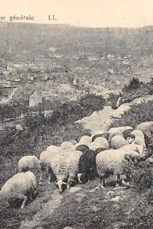 Frankrijk Lourdes Vue generale met kudde schapen France Europa HC8314 Bezpieczna płatność