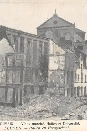 België Leuven Hallen en Hoogeschool na verwoesting Louvain Vieux marche, Halles et Universite HC7398 Najlepsza cena