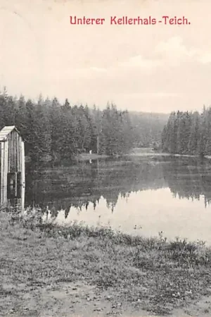 Duitsland Zellerfeld Unterer Kellerhals-Teich 1910 Deutschland Europa HC5680 Promocja