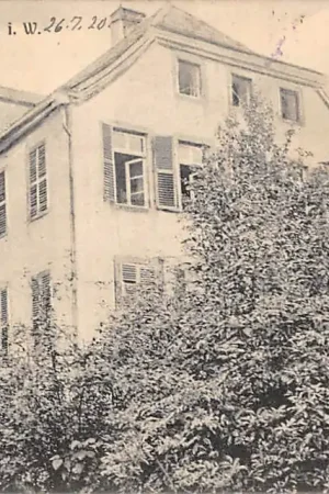 Wysoka jakość Duitsland Schloss Haus Borg b. Hilbeck i. W. Werl 1920 Kasteel Deutschland Europa HC61839