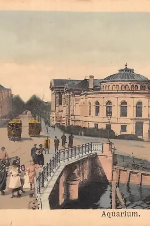 Amsterdam Plantage Paardentrams Tram 1900 HC28099 Zwrot pieniędzy