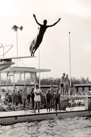 Nowość Best Zwembad Dolfijn 1965 HC27971