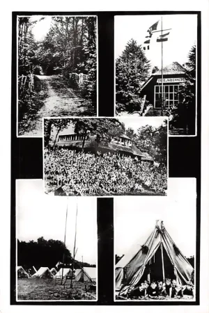 Vierhouten Groeten van de Paasheuvel 1963 Camping Veluwe HC27954 Ekspresowa dostawa