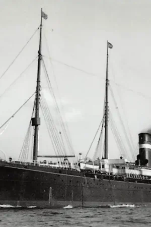 Autentyczny Scheepvaart ss Veendam Holland America Line Schepen Rotterdam HC27941