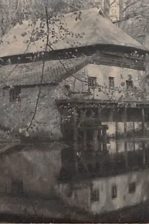 Arnhem Veluwsche Papiermolen in het Nederlands Openluchtmuseum Fotokaart Veluwe Molen HC27864 Oferta