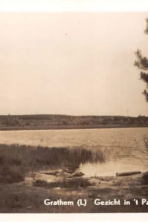 Grathem Gezicht in 't Park van Hotel De Peel Leudal Limburg HC27782 Wyprzedaż