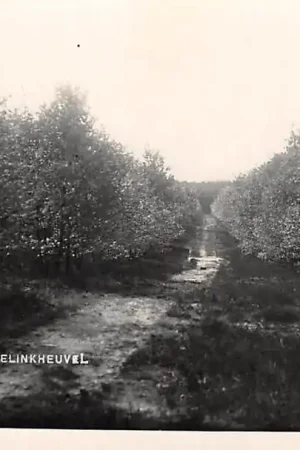 Niska cena Rhenen Gezicht v.a. Wielinkheuvel Bromografia Fotokaart HC27772