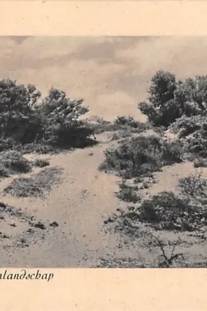 Oferta Oostvoorne aan Zee Duinlandschap 1951 HC27445