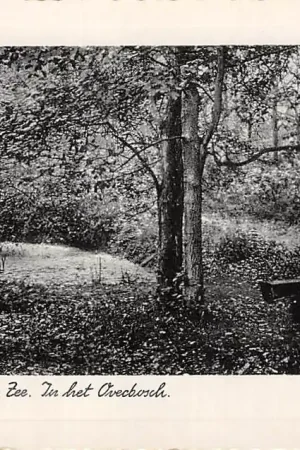 Popularny Oostvoorne aan Zee In het Overbosch 1942 HC27436