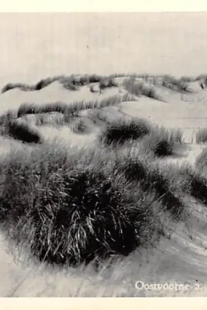 Oostvoorne aan Zee De mooie duinen HC27391 Nowość