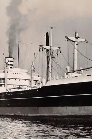 Rotterdam s.s. Averdijk Holland Amerika Lijn 1957 Scheepvaart Schepen HC27202 Autentyczny